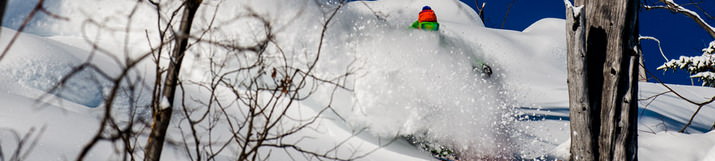 Last Frontier Heliskiing